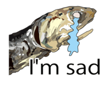 (anime)Dried sardine English version sticker #12727762