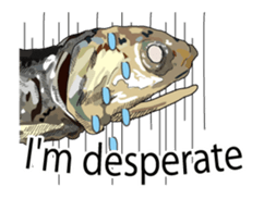 (anime)Dried sardine English version sticker #12727768