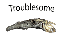 (anime)Dried sardine English version sticker #12727769