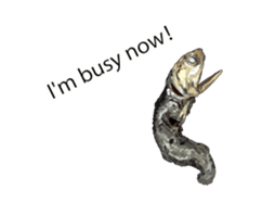 (anime)Dried sardine English version sticker #12727771