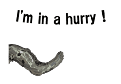 (anime)Dried sardine English version sticker #12727778