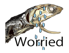 (anime)Dried sardine English version sticker #12727779