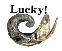 (anime)Dried sardine English version sticker #12727781