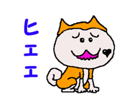 Shiba inu MOMO chan the third as well 30 sticker #12729057