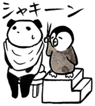 Penguin and Panda in every day sticker #12729645