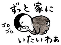 Penguin and Panda in every day sticker #12729658