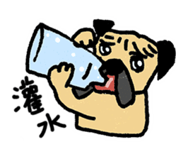 I just want to be a pug, too (Taiwanese) sticker #12731991