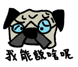 I just want to be a pug, too (Taiwanese) sticker #12731999