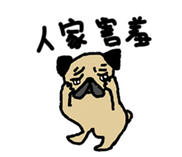 I just want to be a pug, too (Taiwanese) sticker #12732008