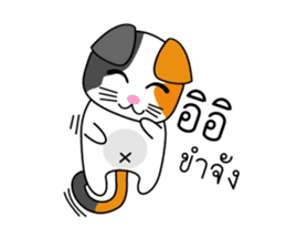 Num Chok Calico Cat sticker #12732382