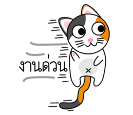 Num Chok Calico Cat sticker #12732412