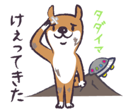 Dog John-ta speak in Sendai dialect. -5- sticker #12732604