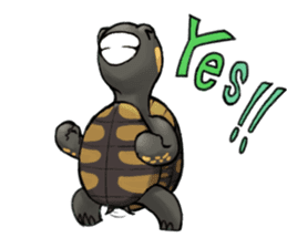 Tortoise diary - Part.4 sticker #12739790