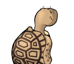 Tortoise diary - Part.4 sticker #12739793
