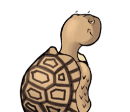 Tortoise diary - Part.4 sticker #12739793