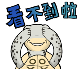 Tortoise diary - Part.4 sticker #12739798