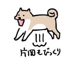 shibainuSticker sticker #12740364