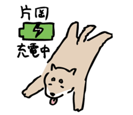 shibainuSticker sticker #12740376