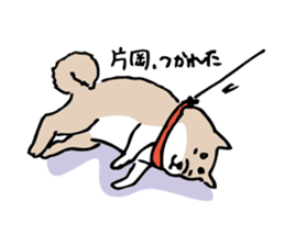shibainuSticker sticker #12740378