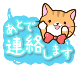 Cat wearing a bow tie. sticker #12741504