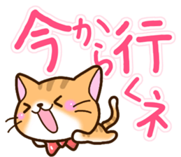 Cat wearing a bow tie. sticker #12741510