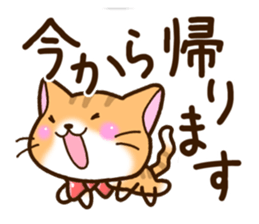 Cat wearing a bow tie. sticker #12741511