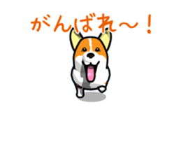 Moving ! Kogio of Corgi!2 sticker #12745757