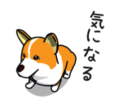 Moving ! Kogio of Corgi!2 sticker #12745758
