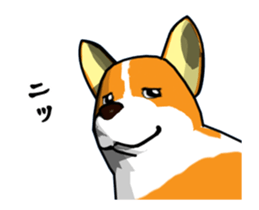 Moving ! Kogio of Corgi!2 sticker #12745761