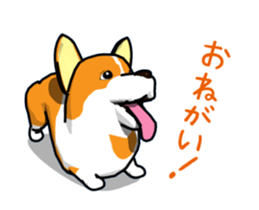 Moving ! Kogio of Corgi!2 sticker #12745764
