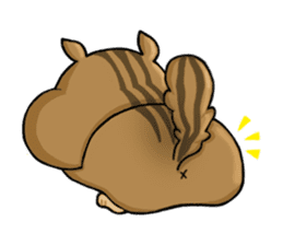 Daily Chipmunk sticker #12747624