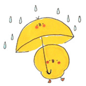 Piyo Piyo Sticker :9 sticker #12747908