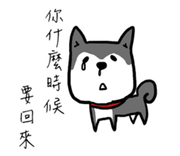 Message squarefish trouble sticker #12748626