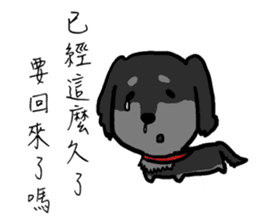 Message squarefish trouble sticker #12748627