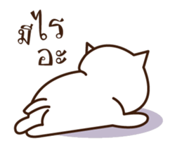 meow slow life(dookdik) sticker #12749371