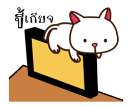 meow slow life(dookdik) sticker #12749372