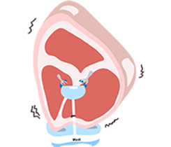 butcher's shop sticker #12751982