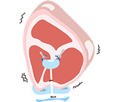 butcher's shop sticker #12751982