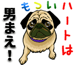 Glitter Box sticker #12754471