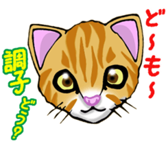 Glitter Box sticker #12754475