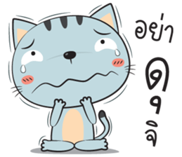 cat zaa sticker #12755187