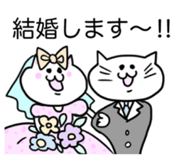 report cat sticker sticker #12755744