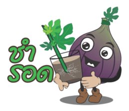 Figs Lover V.1 sticker #12758145