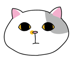 Qgirl and JFcat sticker #12761516