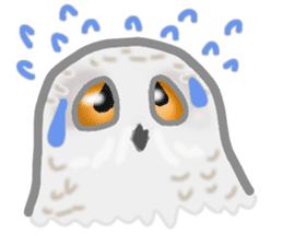 Healing of the OWL sticker #12762169