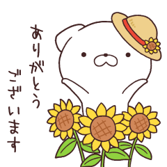 Daily Lives of cute white dog in summer