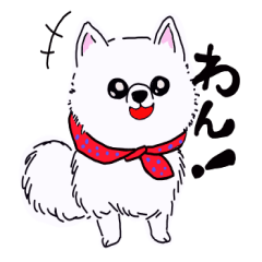 Kolo dog charm plenty Pomeranian