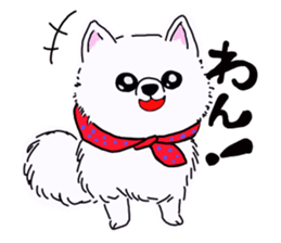 Kolo dog charm plenty Pomeranian sticker #12763400