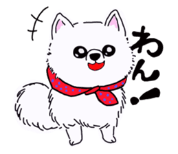 Kolo dog charm plenty Pomeranian sticker #12763400
