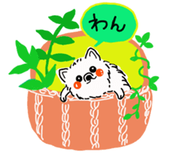 Kolo dog charm plenty Pomeranian sticker #12763401
